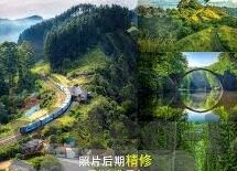 麻豆av片在线观看-从网络现象透视社会行为的多元化