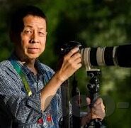 麻豆国产视频网址-麻豆国产视频的多元化文化视角