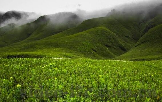 糖心app苹果版下载安装-寻找用户体验新高峰，探索糖心App苹果版的独特魅力